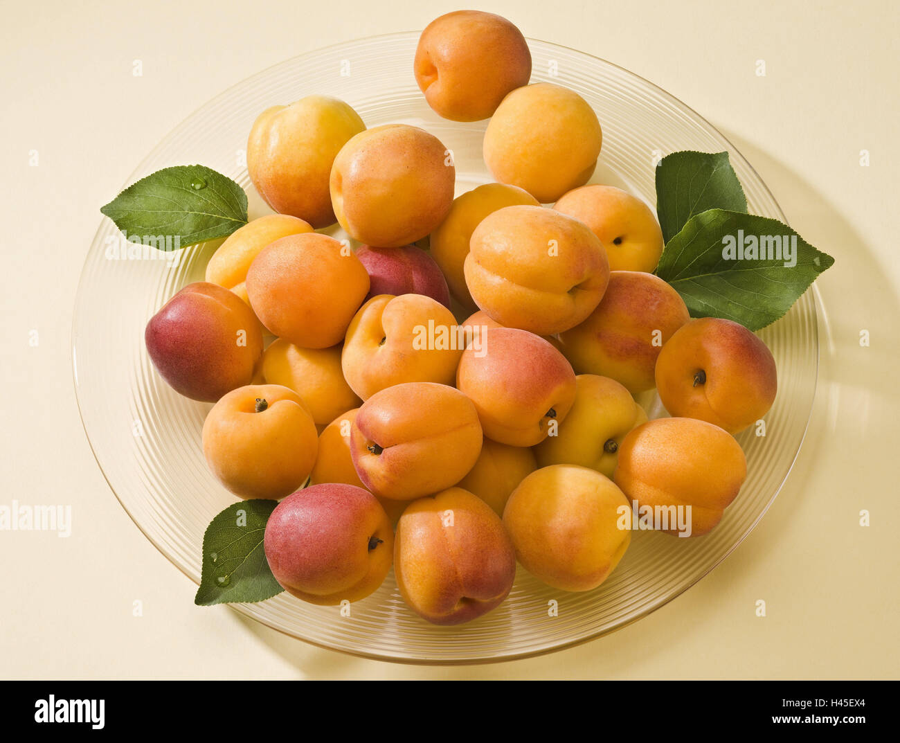 Aprikose, Prunus Armeniaca, Glasplatte, Blätter, Studio, Aprikosen, reich an Vitaminen, reich an Aroma, Obstteller, kalorienarm, gesund, grün, gelb, Früchte, Obst, Pflanze, Stockfoto