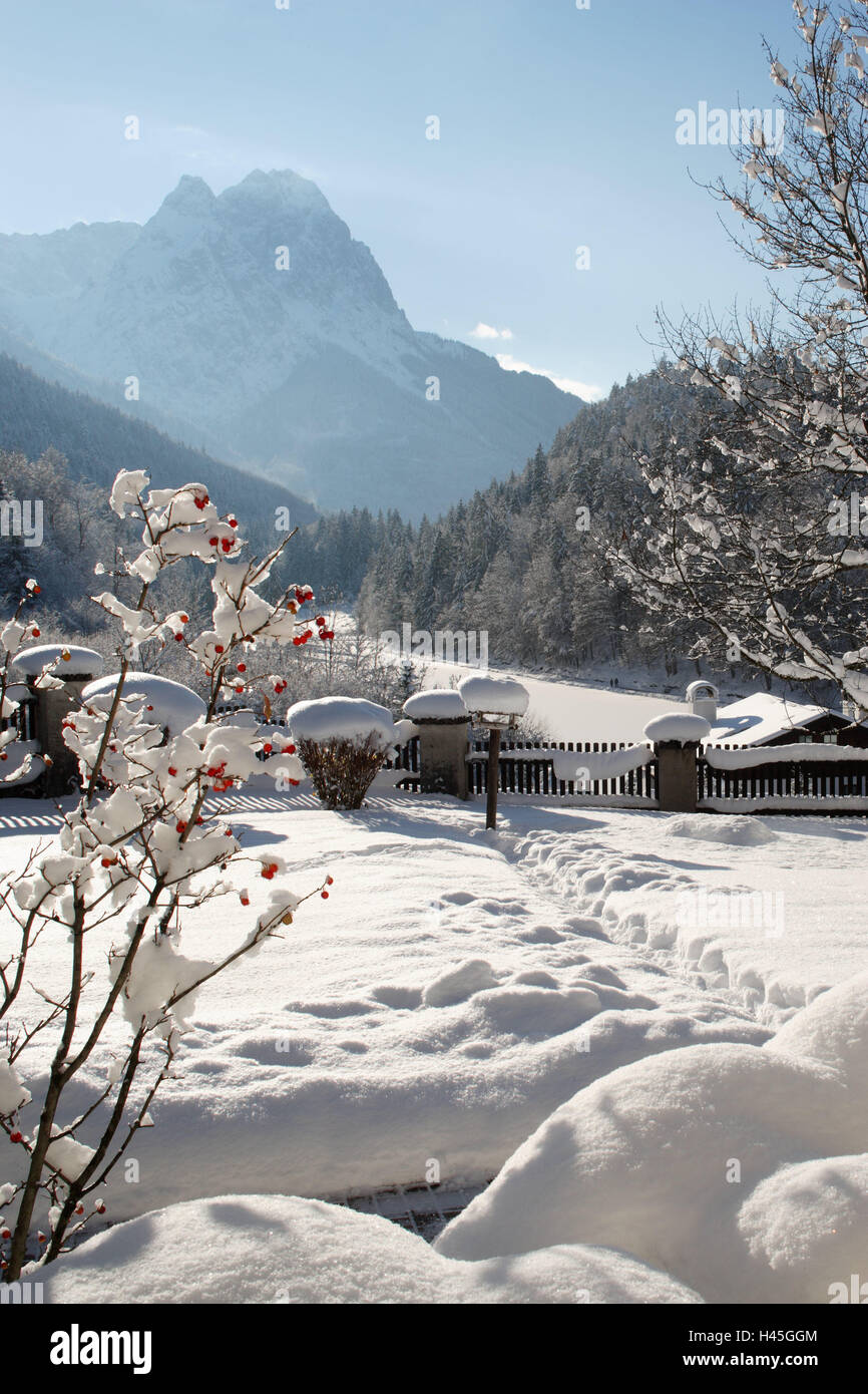 Deutschland, Bayern, Garmisch-Partenkirchen, Riessersee, Winterlandschaft, Oberbayern, Werdenfelser, Berge, Gipfel, Waxenstein, Zugspitzes, See, iceboundly, Bäume, verschneiten, frischem Schneefall, Jahreszeiten, holiday Resort, Resort, Berglandschaft, Strauch, Beeren, Winter, Schnee, Kälte, Idylle, Ruhe, Stille, niemand, Art und Weise, Garten, Vogel Haus rose Hüfte, rot, Zweige, detail, Stockfoto