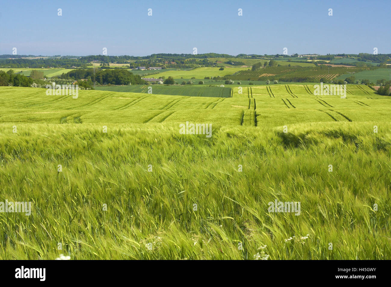 Danemark Felder Getreide Landschaft Landwirtschaft Stockfotos Und Bilder Kaufen Alamy