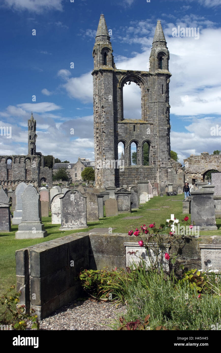 Großbritannien, Schottland, St. Andrews, Ruinen, St. Andrews Cathedral, Friedhof, Stadt, Ort von Interesse, Struktur, Architektur, Ruine, Dom, Turm, Grabsteine, historische, glauben, Religion, Christentum, Besucher, Menschen, Natur, Blumen, Stockfoto