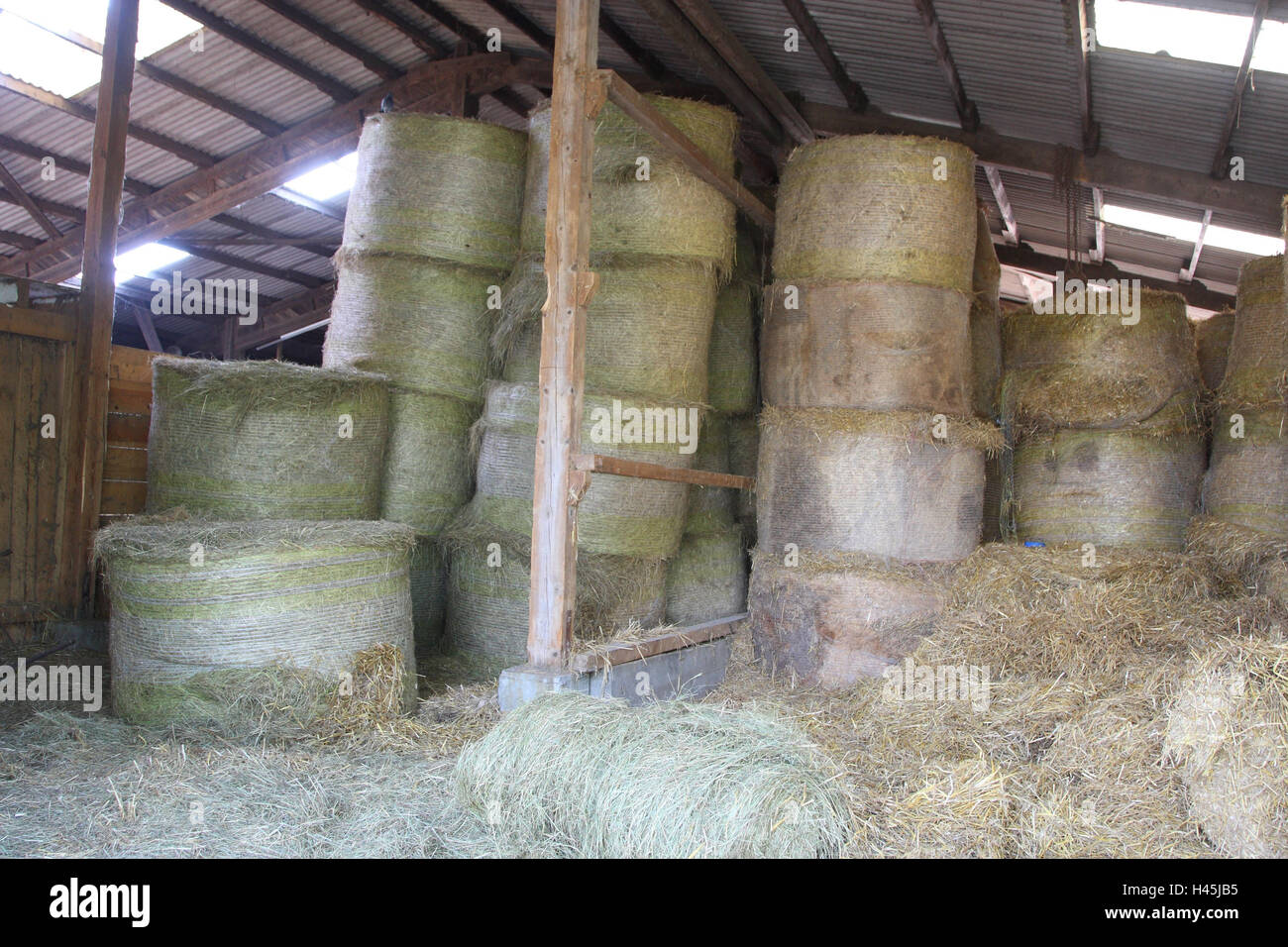 Scheune mit Heu für Pferde, Stockfoto