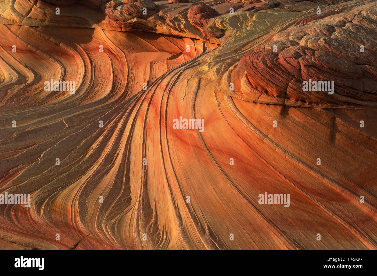 Zweite Welle, Detail, USA, Arizona, Utah, Paria Canyon, Vermillion Cliffs Wilderness, Sandstein, Stockfoto