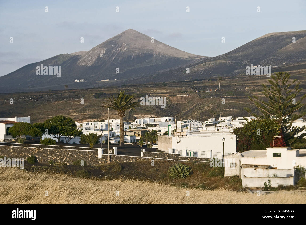 Kanarische, Inseln, Lanzarote, Uga, lokale Ansicht, Vulkan Landschaft, Palmen, Stockfoto