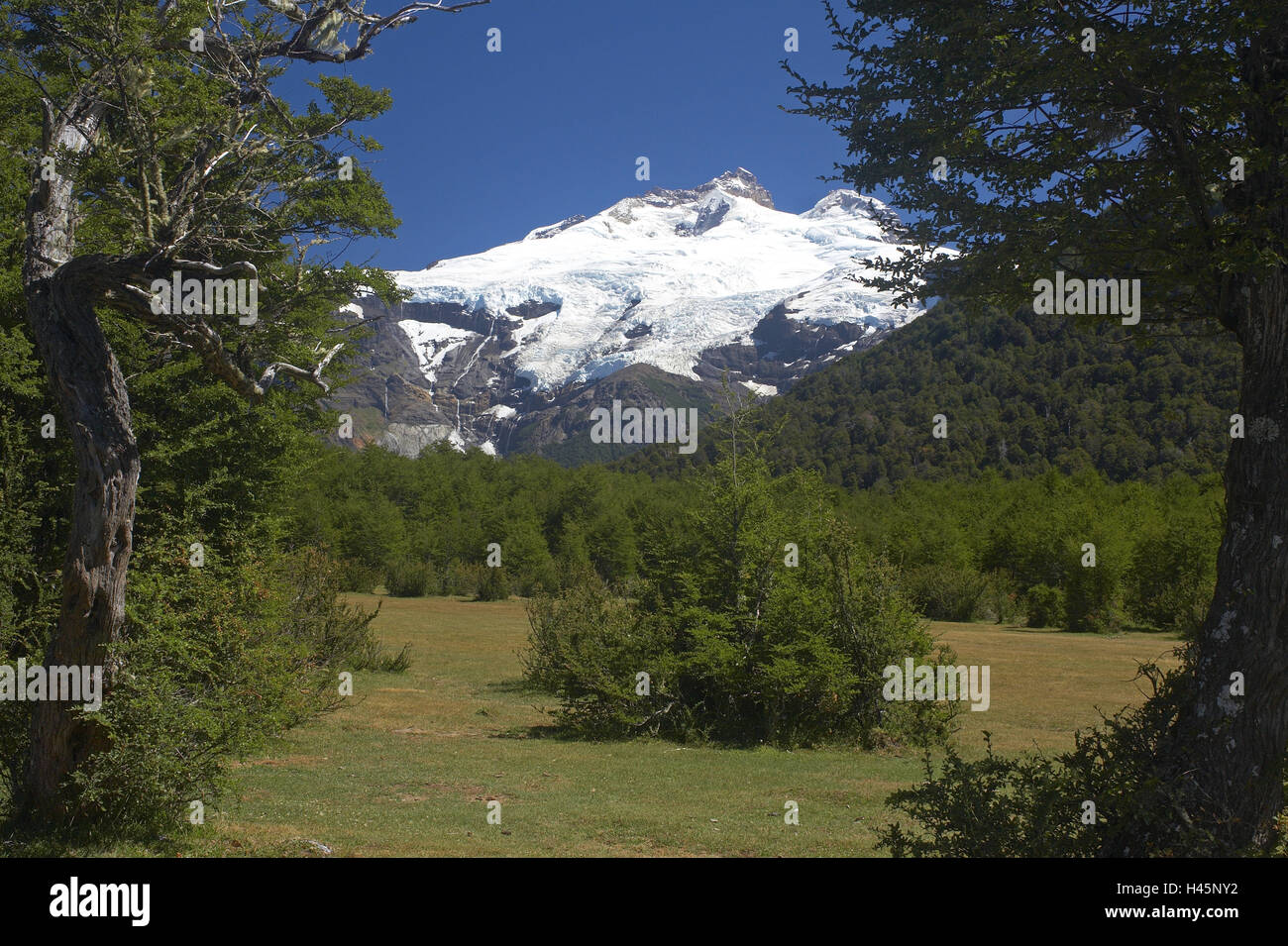 Argentinien, Patagonien, national park Nahuel Huapi, Vulkan Monte Tronador, 3554 m, Snowy, Stockfoto
