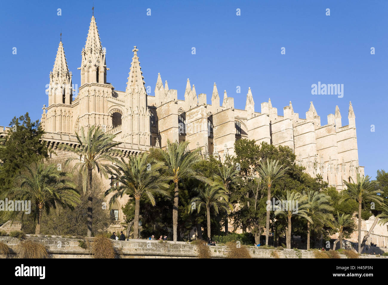 Spanien, die Balearen Insel Mallorca, Palma de Mallorca, Kathedrale La Seu, Ort von Interesse, Reiseziel, Architektur, Struktur, imposant, sakrale Bau, Gothic, Religion, glaube, Christentum, Palmen, Kirche, Architektur, Türme, sonnig, draußen, Stockfoto