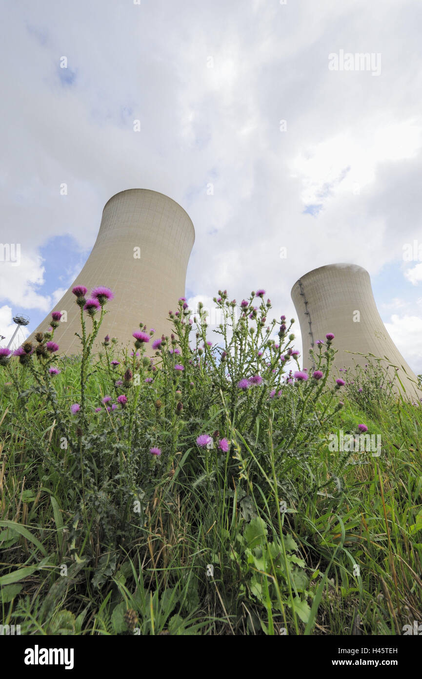 Deutschland, Bayern, Kernkraftwerk, Gebiet Grafenrhein, Kühltürme, Rauch, Wiese, Disteln, Unterfranken, Gebiet Grafenrhein, Atomkraftwerk, Atomenergie, Problem, Energie, Energieerzeugung, Gefahr, KKW, Kraftwerk, Strom, Produktion, Risiko, Türme, Umweltverschmutzung, Icon, Dampf, Dampf, Blumen, Wirtschaft, Industrie, bewölkter Himmel, Stockfoto