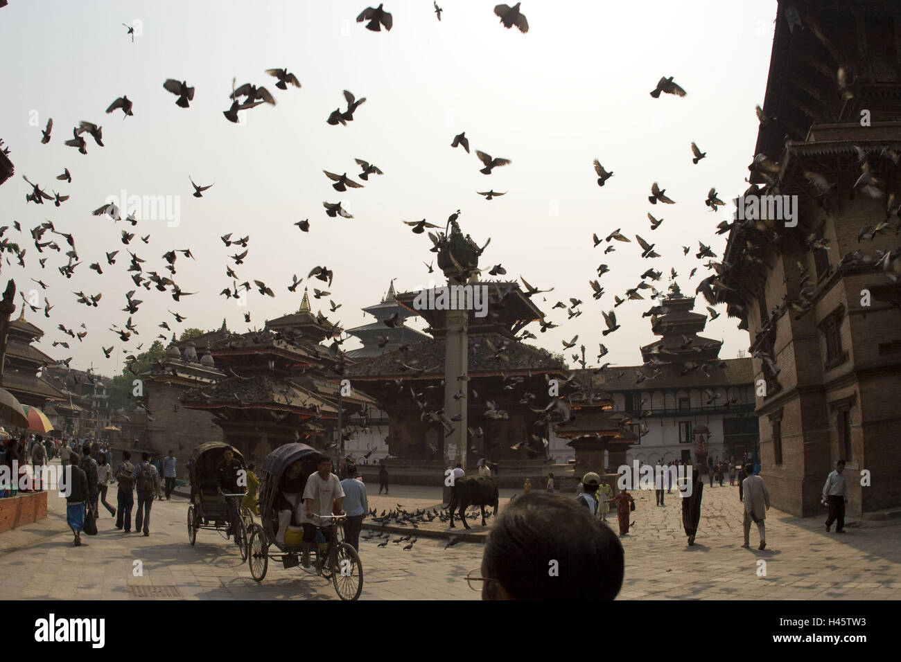 Nepal, Kathmandu, Zentrum, Herde von Tauben, Menschen, Stockfoto