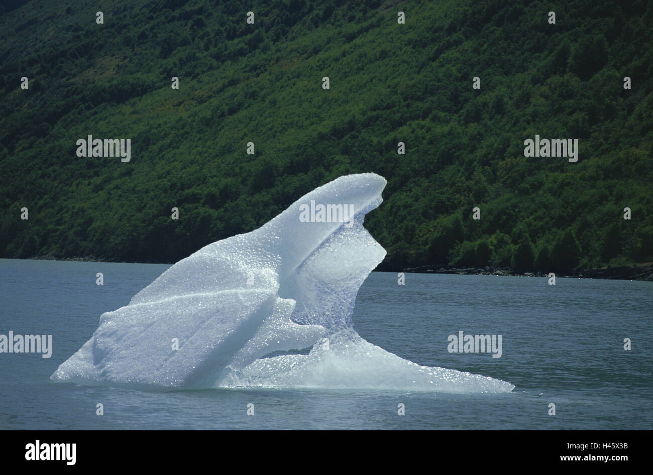 Argentinien, Patagonien, drift, Eis, Eis, Wasser, Ufer, Holz, den Atlantik, menschenleer, draußen, Natur, Schwimmer, Schwimmen, Stockfoto