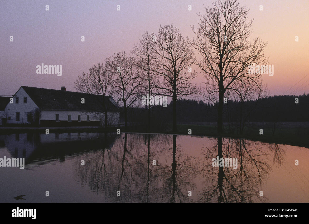 Tschechische Republik, South Bohemian, Landschaft, Abend, Natur, See, Bauernhaus, Haus, Holz, Rand Wald, Bäume, menschenleer, außen, Himmel, wolkenlos, blau, Spiegelung, Dämmerung, Stockfoto