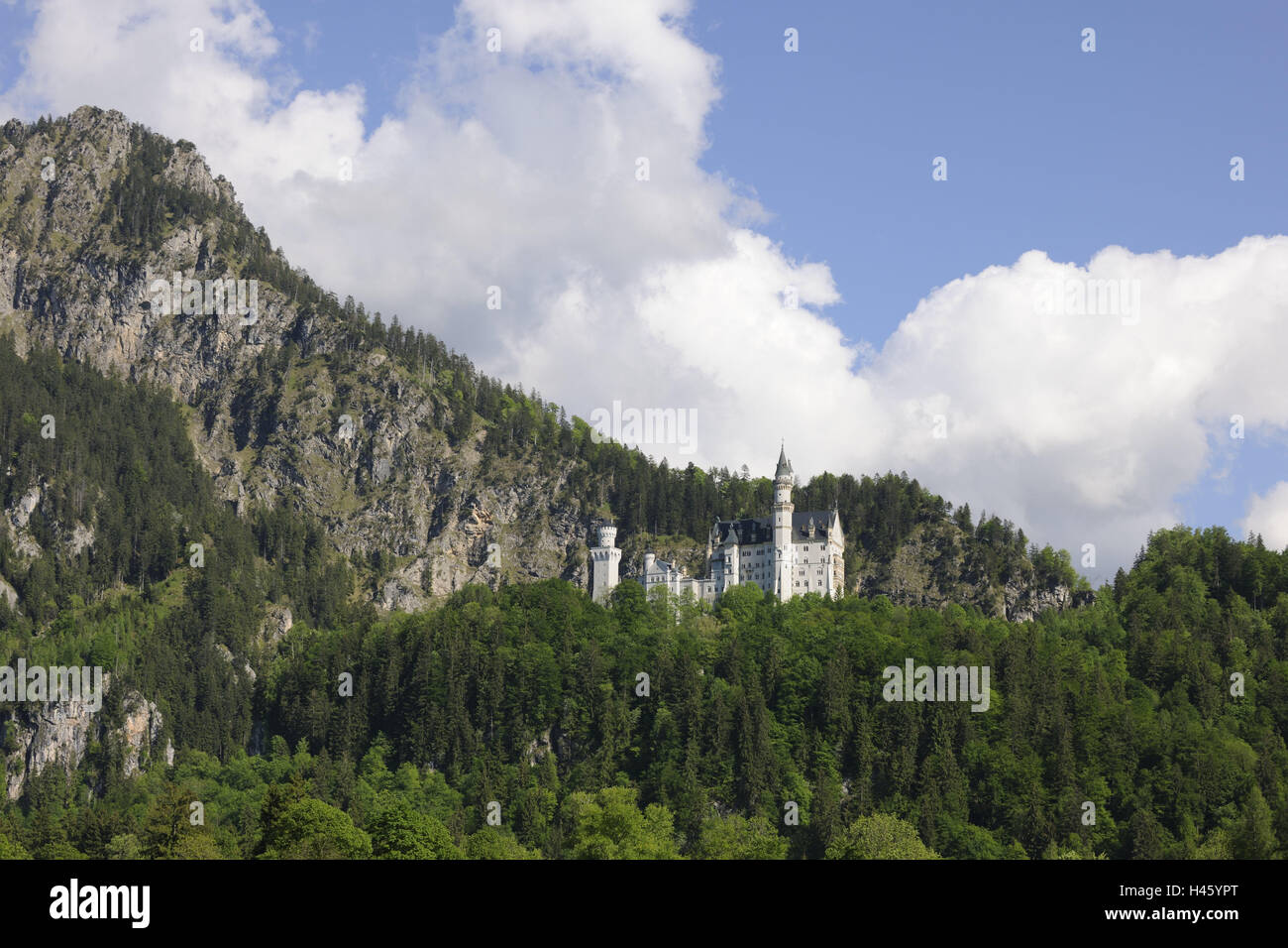 Deutschland, Bayern, Allgäu, Sperre, neue Schwan Stein, außen, hohe Schwan Region, Sperre, Attraktion, Kultur, Sommer, Reiseziel, Architektur, Struktur, berühmte, Reiseziel, Königsburg, Märchenschloss, Frühling, Tourismus, Ort von Interesse, Wahrzeichen, Baum Stockfoto