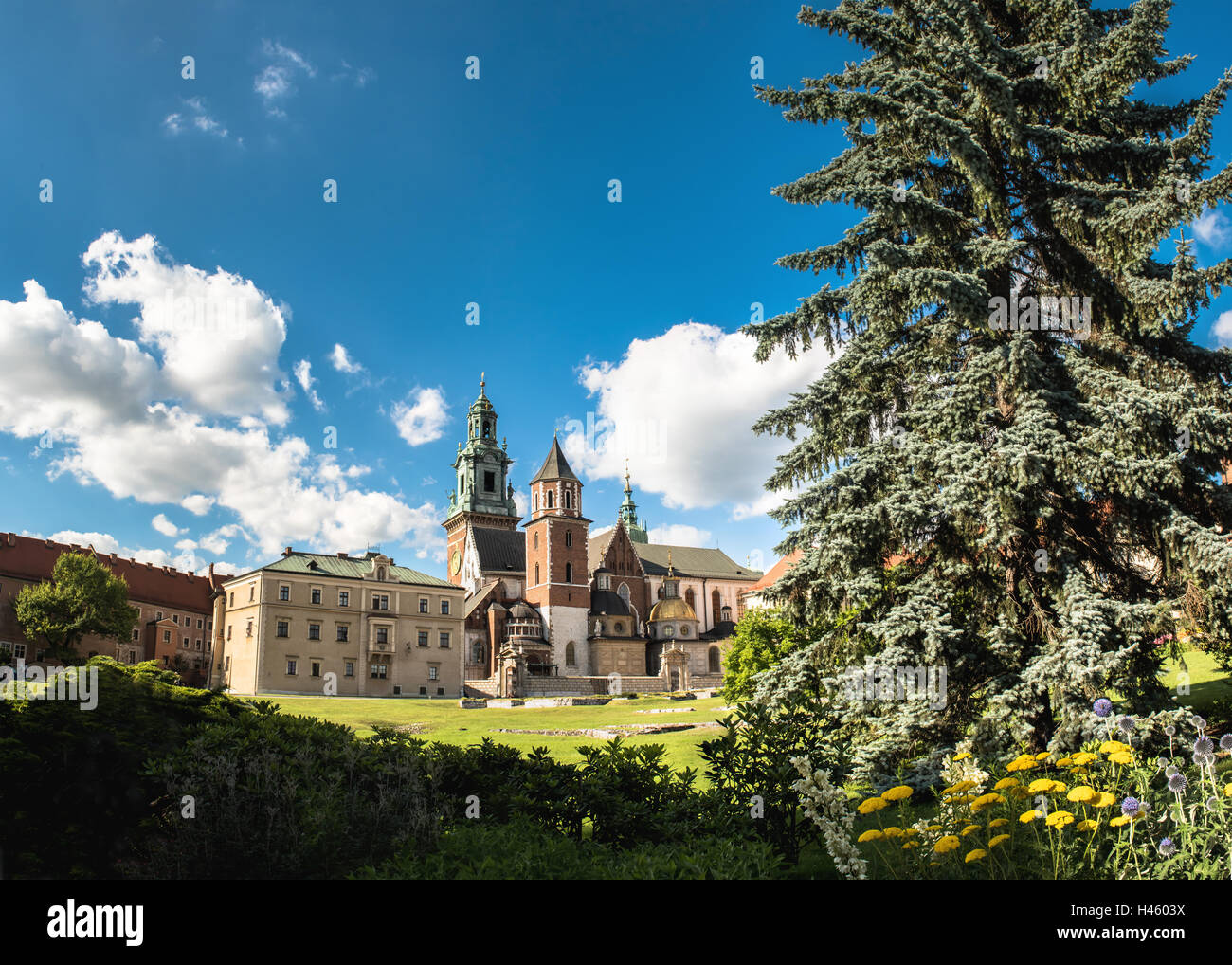 Sommer Wawel Kathedrale auf dem Wawel-Hügel in Krakau, Polen Stockfoto