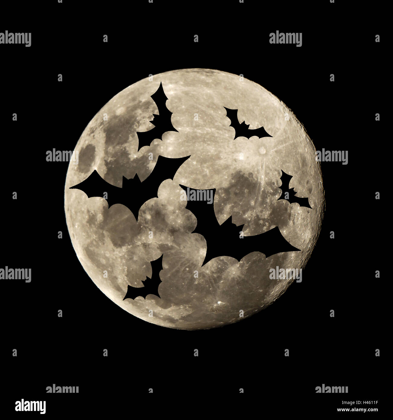 Halloween Fledermaus in der dunklen Nacht gegen die Silhouette des Mondes eingestellt Stockfoto