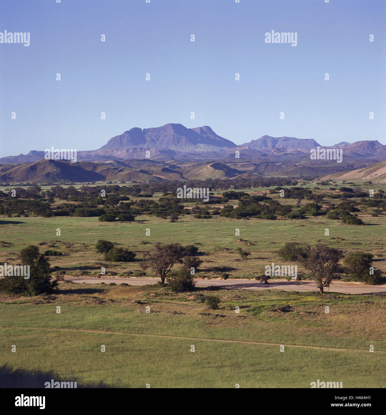 Namibia, Damaraland, Aba Huab Gebiet, Etendeka Berge, Süd-West, Afrika, Natur, Landschaft, Landschaft, Natur, Vegetation, Stockfoto