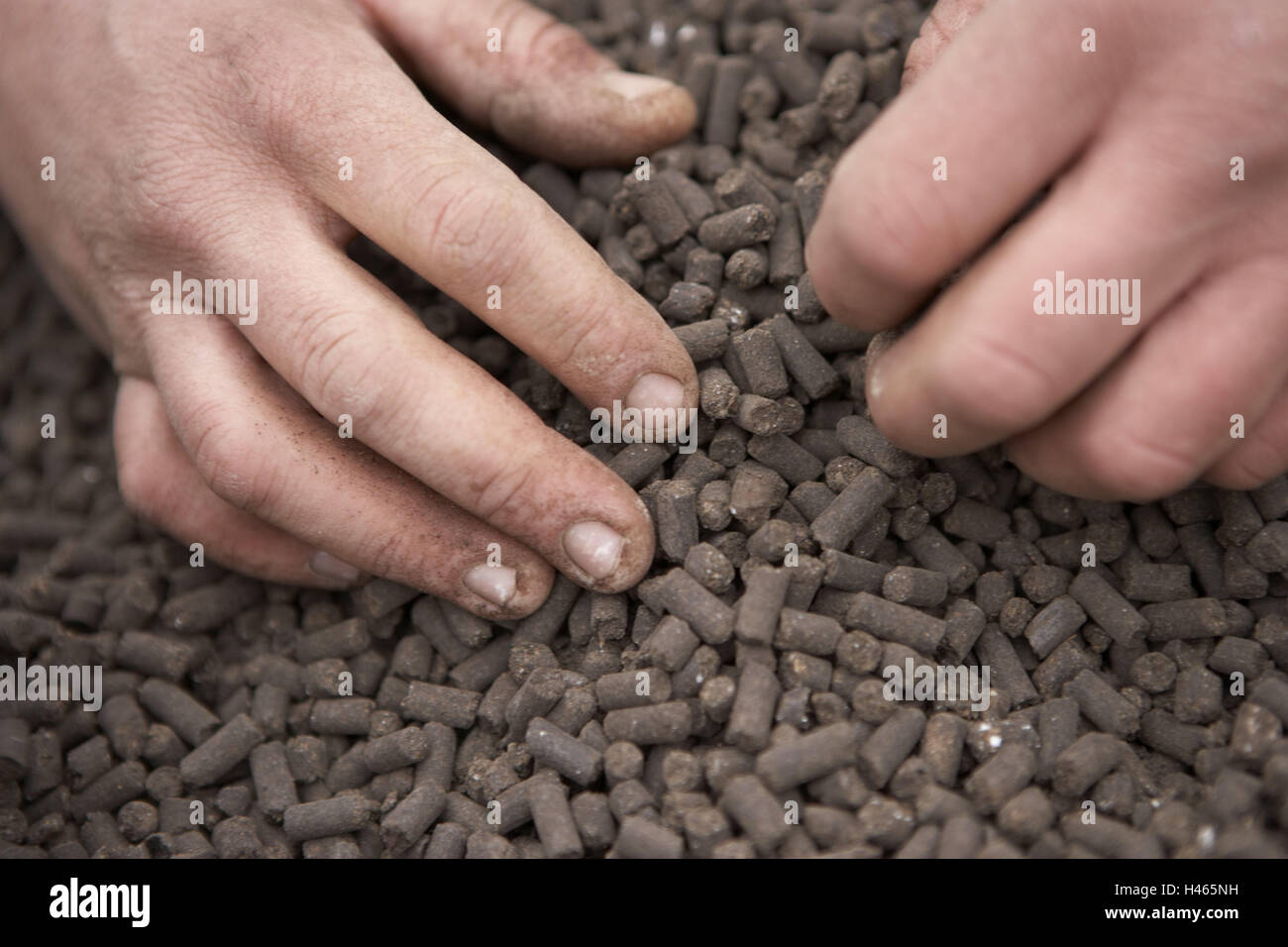 Schmutzige fingerngel -Fotos und -Bildmaterial in hoher Auflsung  Alamy