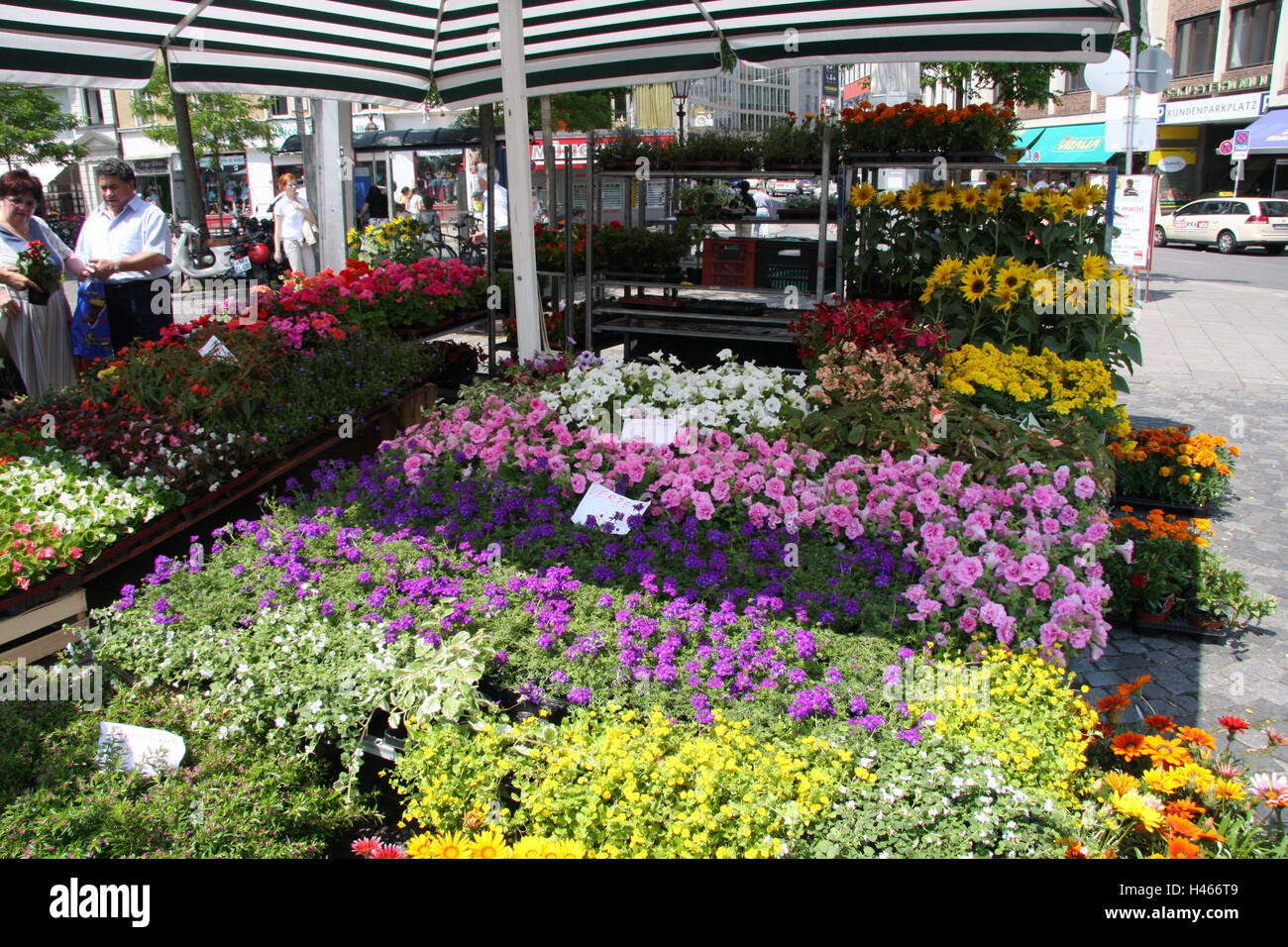 Verkaufsstand Mit Blumen Stockfotos und -bilder Kaufen - Alamy