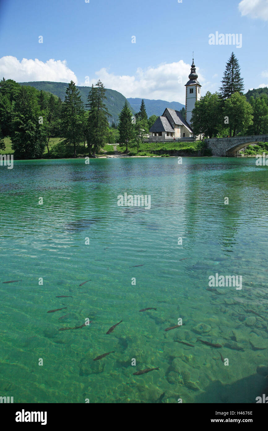 Slowenien, Gorenjska, Triglavski Nationwide, Park, Bohinjsko See Ribcev Laz, Kirche, Fisch, Europa, Ziel, Ort von Interesse, Wasser, grün, Brücke, Kirche, Heilige Bau, Bäume, glauben, Religion, Christentum, Stockfoto