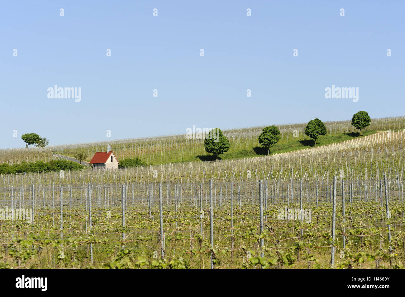 Deutschland, Bayern, Unterfranken, Neuses am Berg (Dorf), Landschaft, Stockfoto