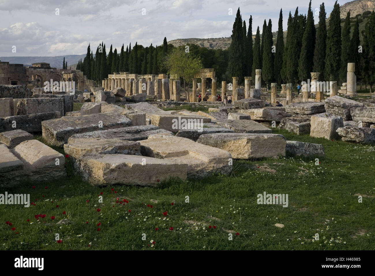 Türkei, Provinz Denizli, Hierapolis, Ruine Standort, Tourist, Pamukkale, Website, Ruinen, Säulen, Pfeiler Dateien, Platten, Zypressen, Bäume, Wiese, Blumen, rot, Ort von Interesse, Attraktion, Person, Tourismus, Stockfoto
