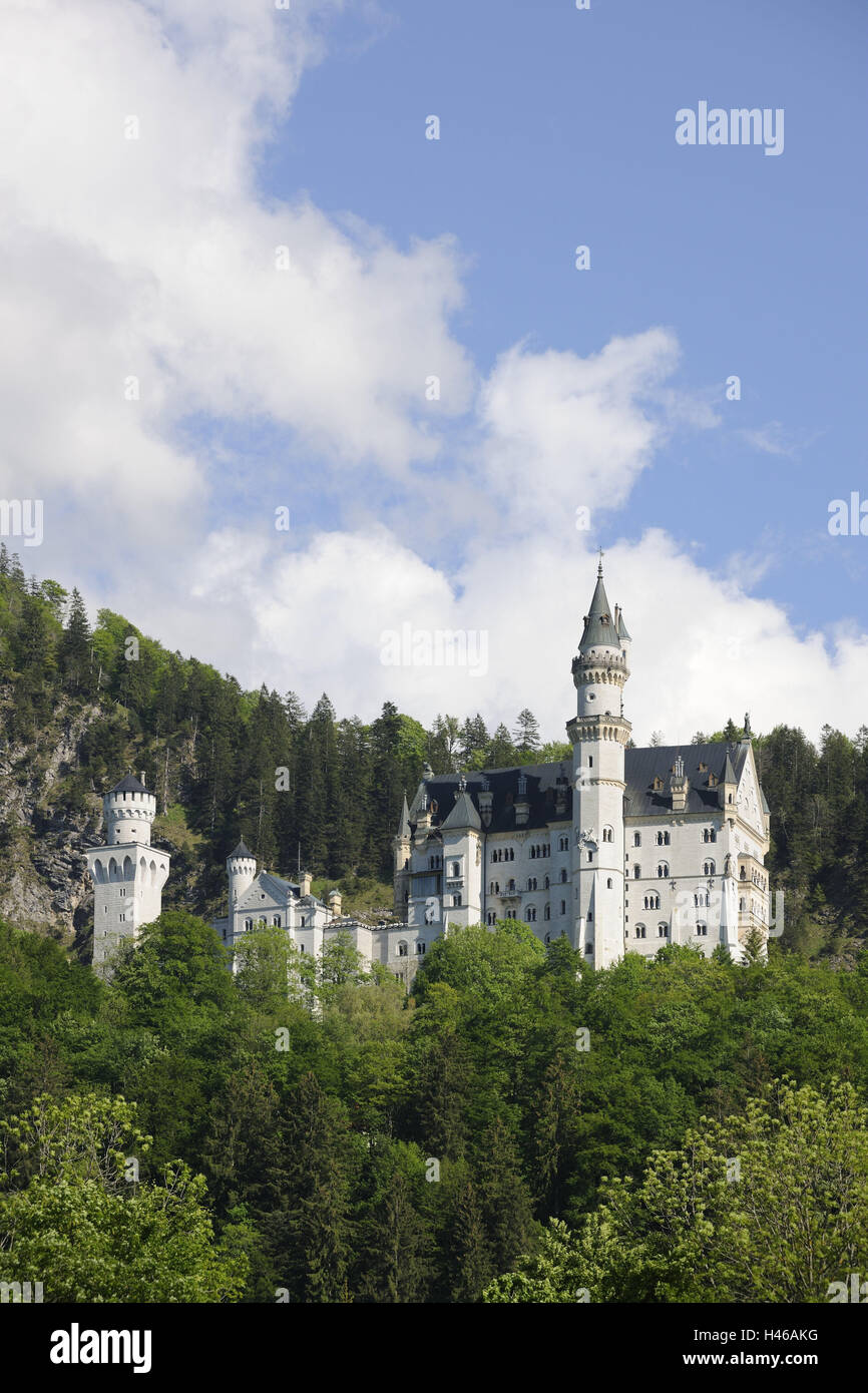 Deutschland, Bayern, Allgäu, Sperre, neue Schwan Stein, außen, hohe Schwan Region, Sperre, Attraktion, Kultur, Sommer, Reiseziel, Architektur, Struktur, berühmte, Reiseziel, Königsburg, Märchenschloss, Frühling, Tourismus, Ort von Interesse, Wahrzeichen, Baum Stockfoto