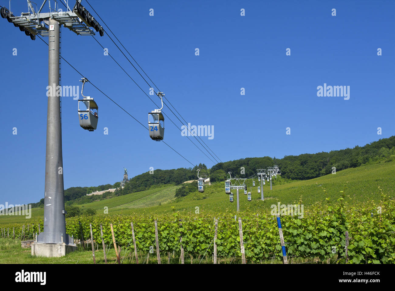 Deutschland, Hessen, Mittelrhein-Tal, Rüdesheim, Niederwalddenkmal, Weinberge, Seilbahn, Stockfoto