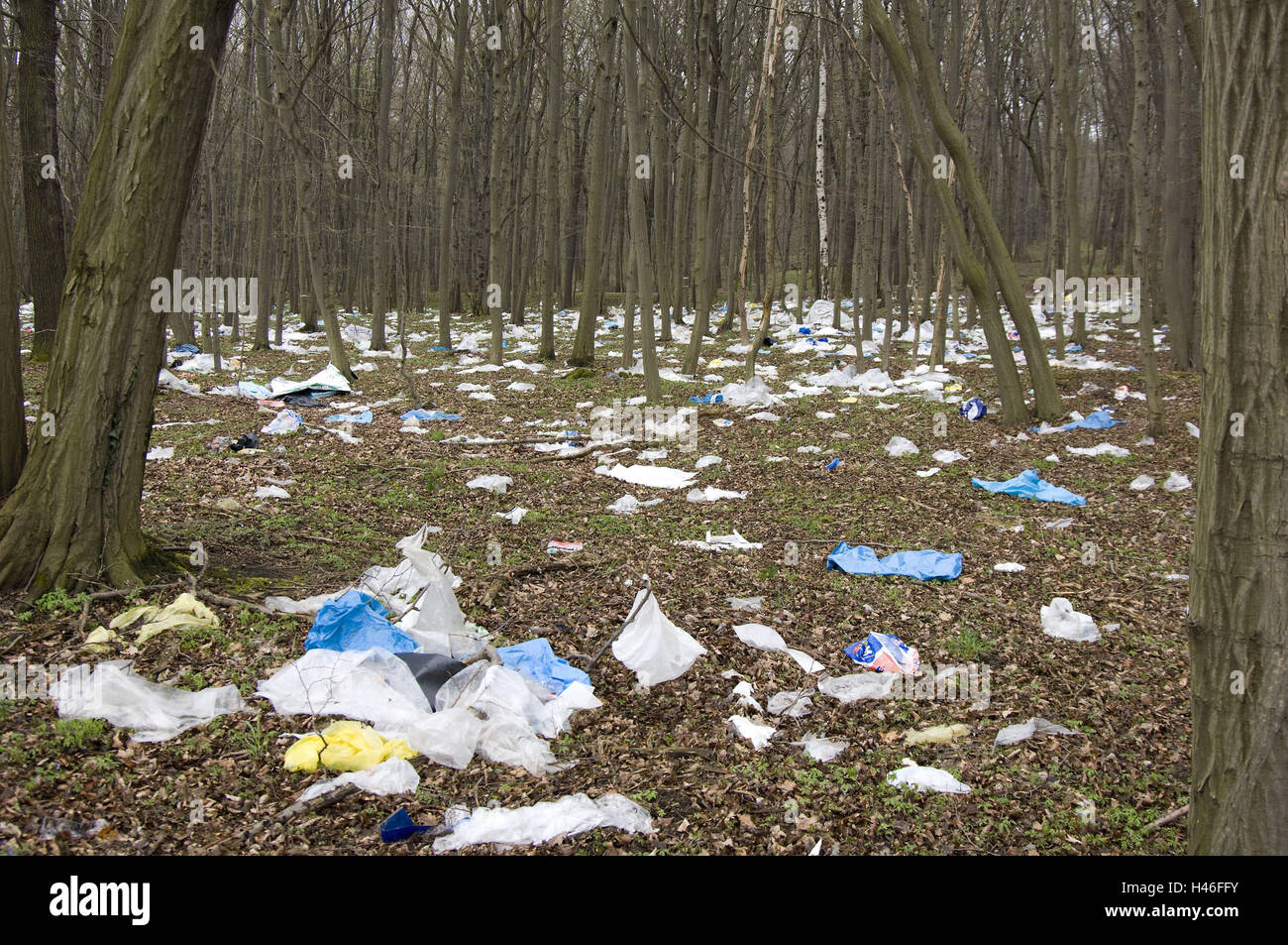 Müll verstreut im Wald, Umweltverschmutzung, Stockfoto