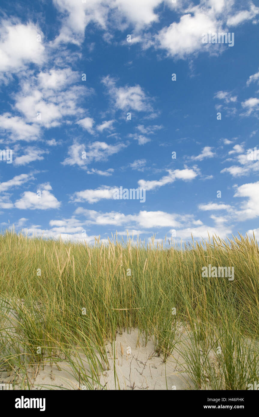 Dünen mit Strandhafer, bewölkter Himmel, Stockfoto