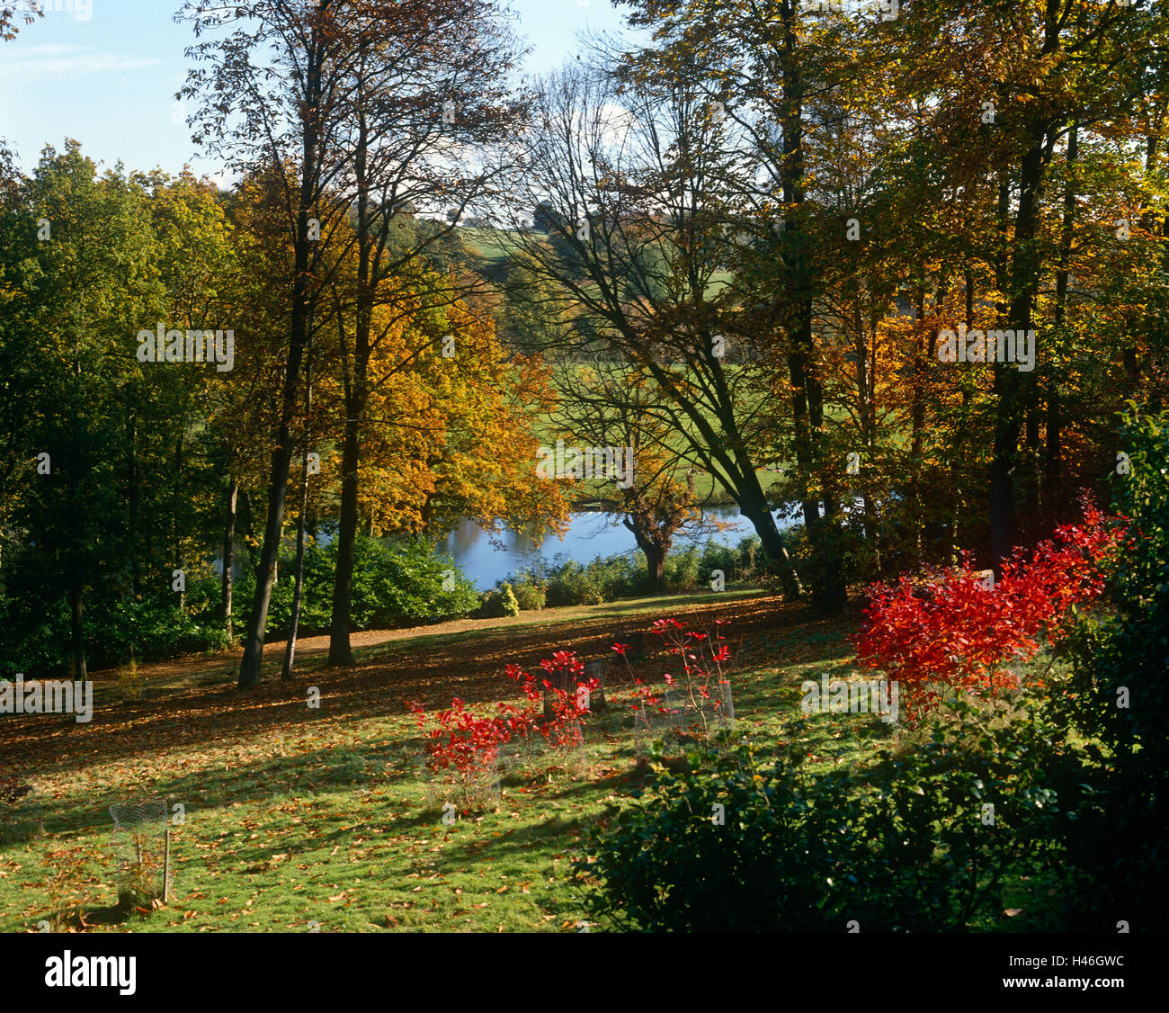 Winkworth Arboretum Godalming, Surrey Stockfoto