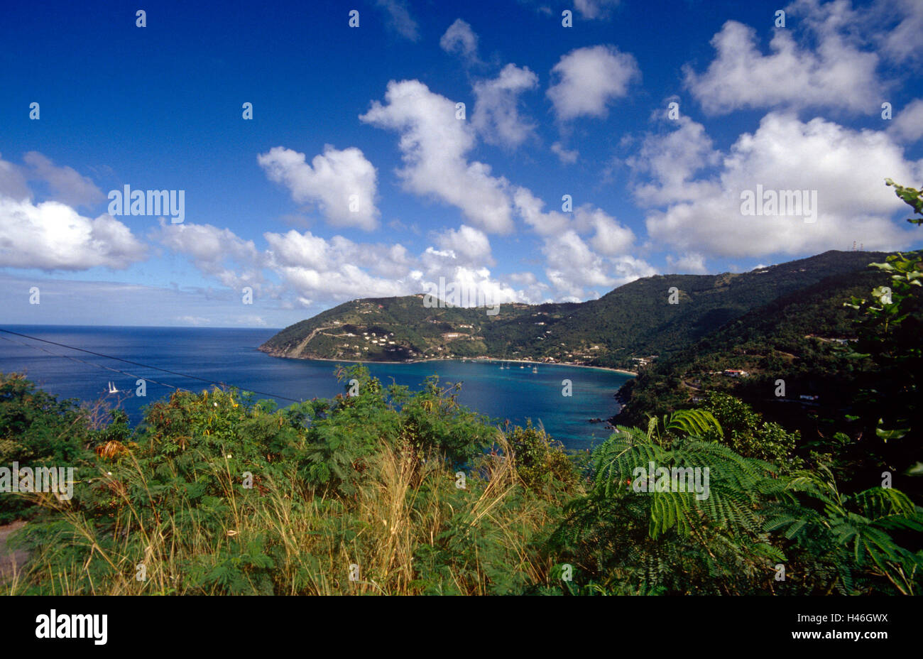 Turtola Cane Bay, Barbados Stockfoto