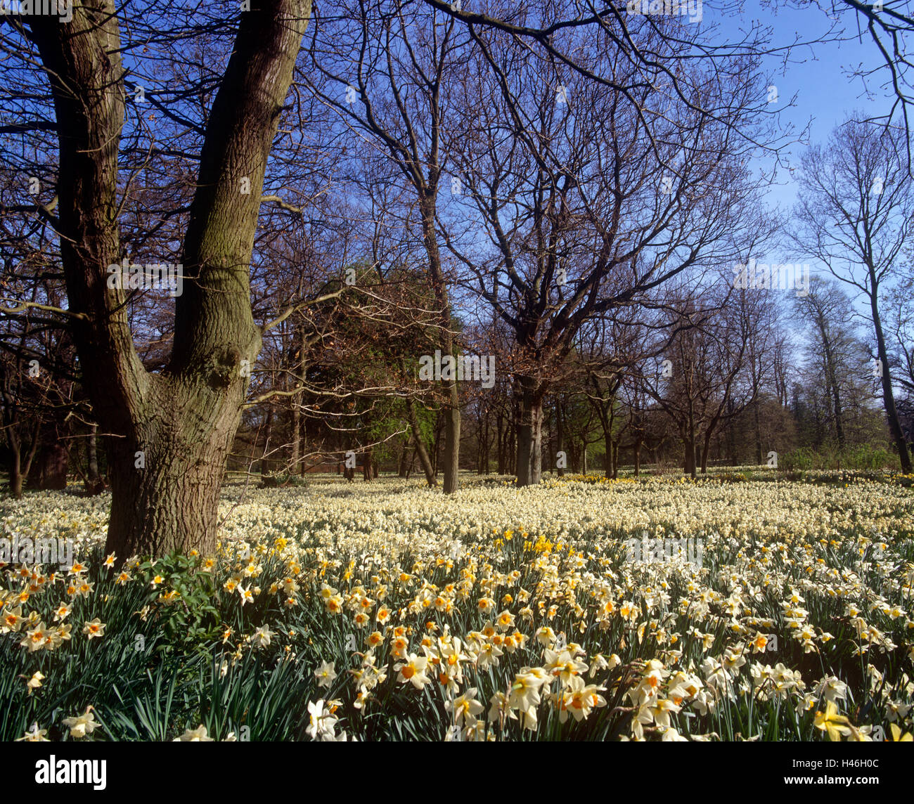 Cobham Hill, Cobham, Kent Stockfoto