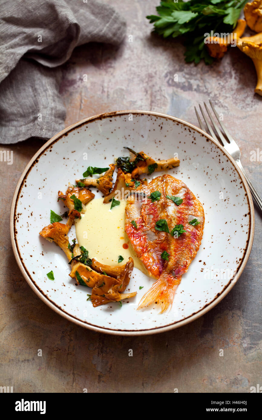 Chanterelle Fotos und Bildmaterial in hoher Auflösung Alamy