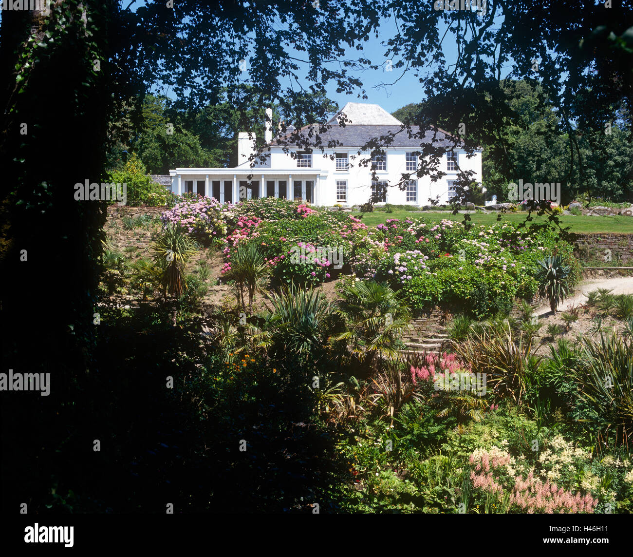 Trebah Gärten Falmouth, Cornwall Stockfoto