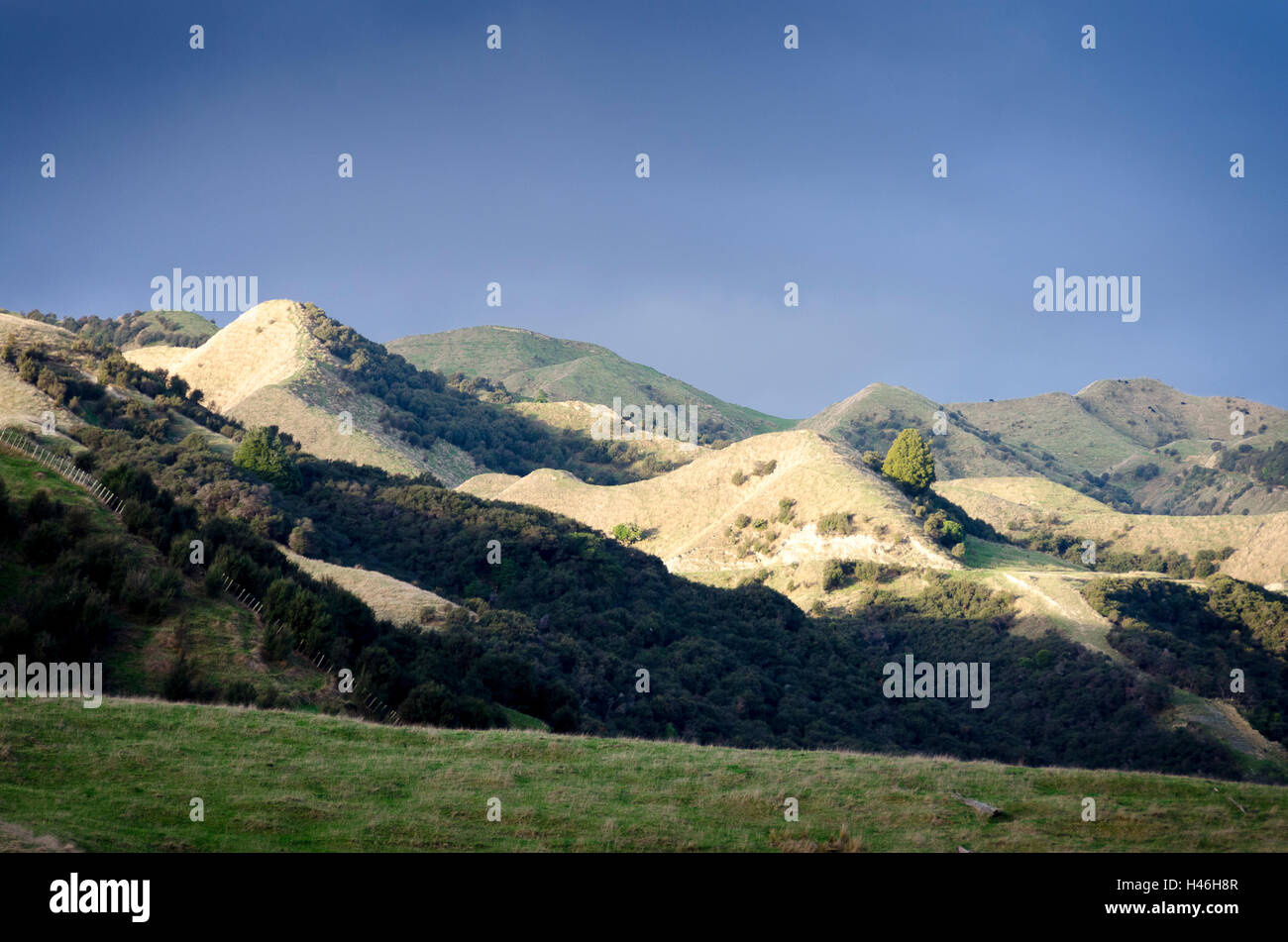 Braune Hügeln in der Nähe von Raetihi, Waimarino, Nordinsel, Neuseeland Stockfoto