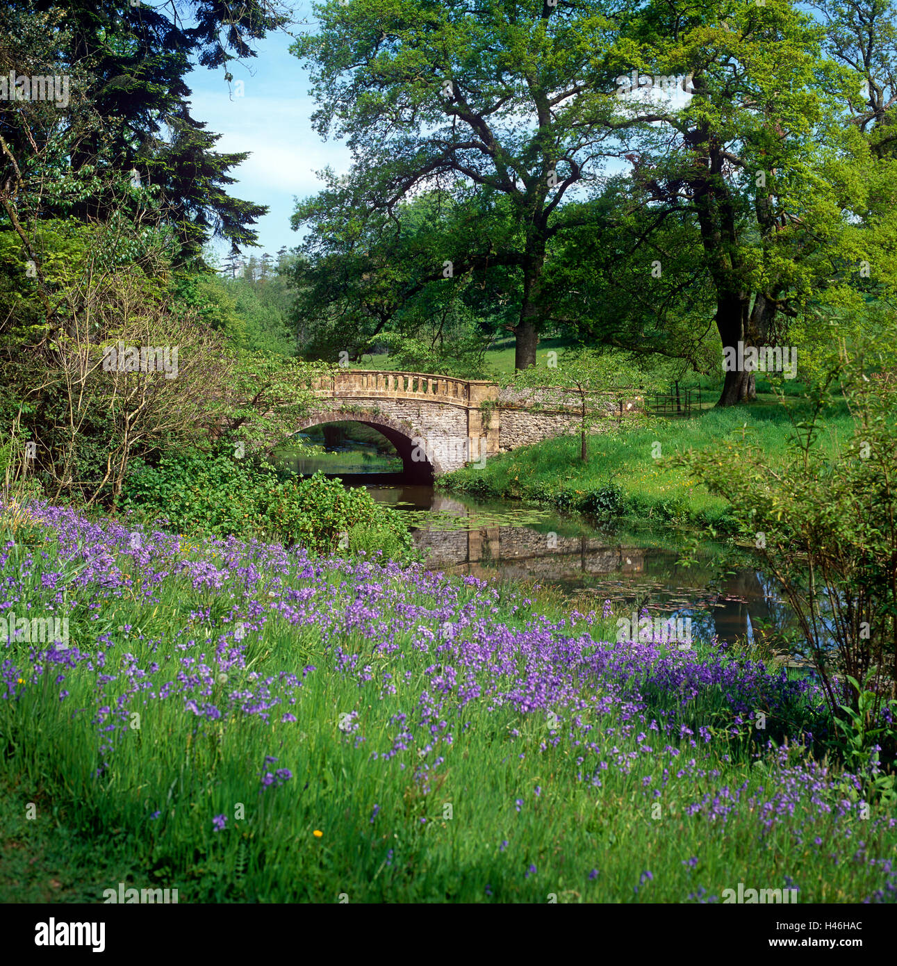 Minterne Gärten Stockfoto