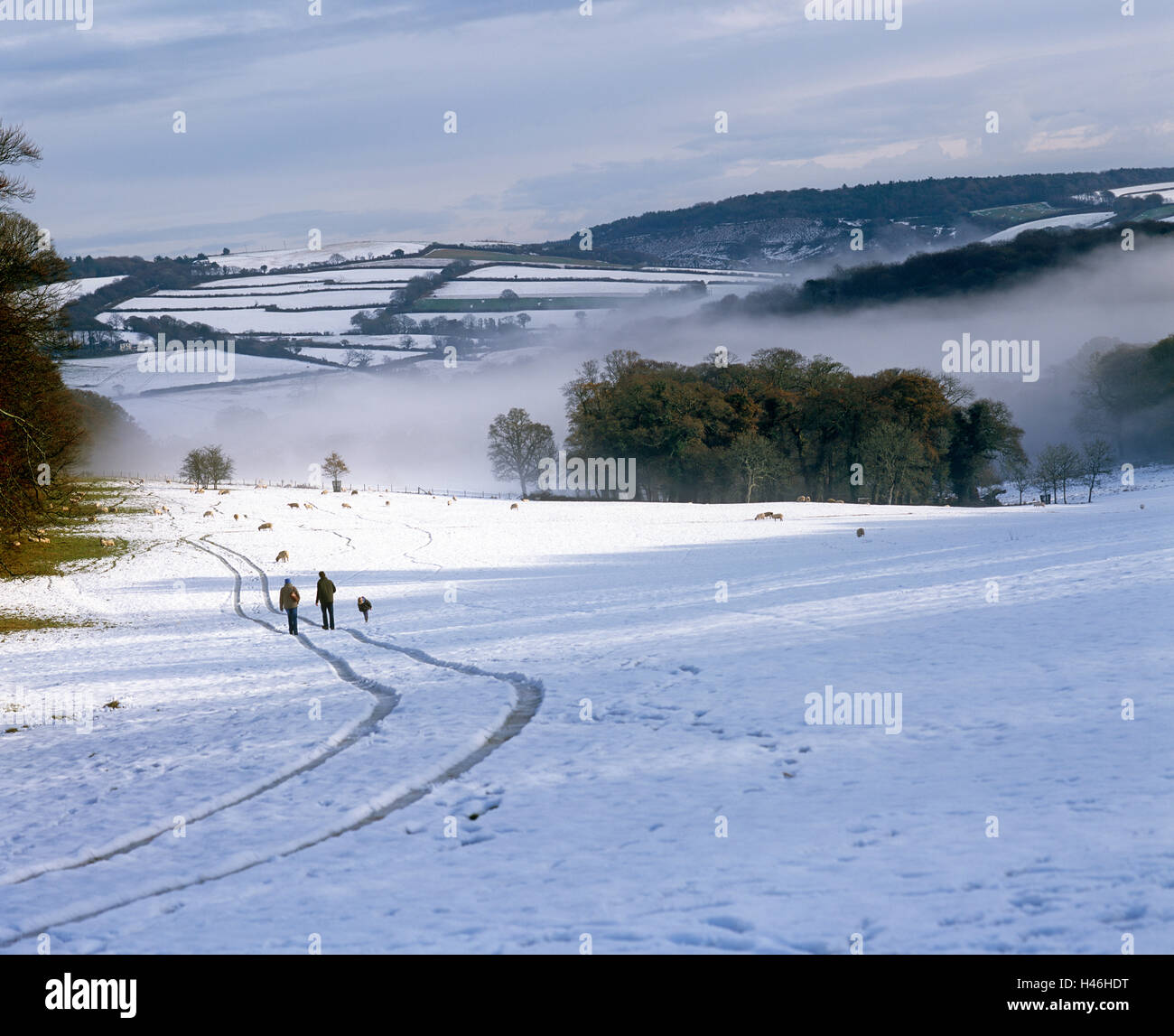 Lanhydrock Rock im Schnee Cornwall England Stockfoto