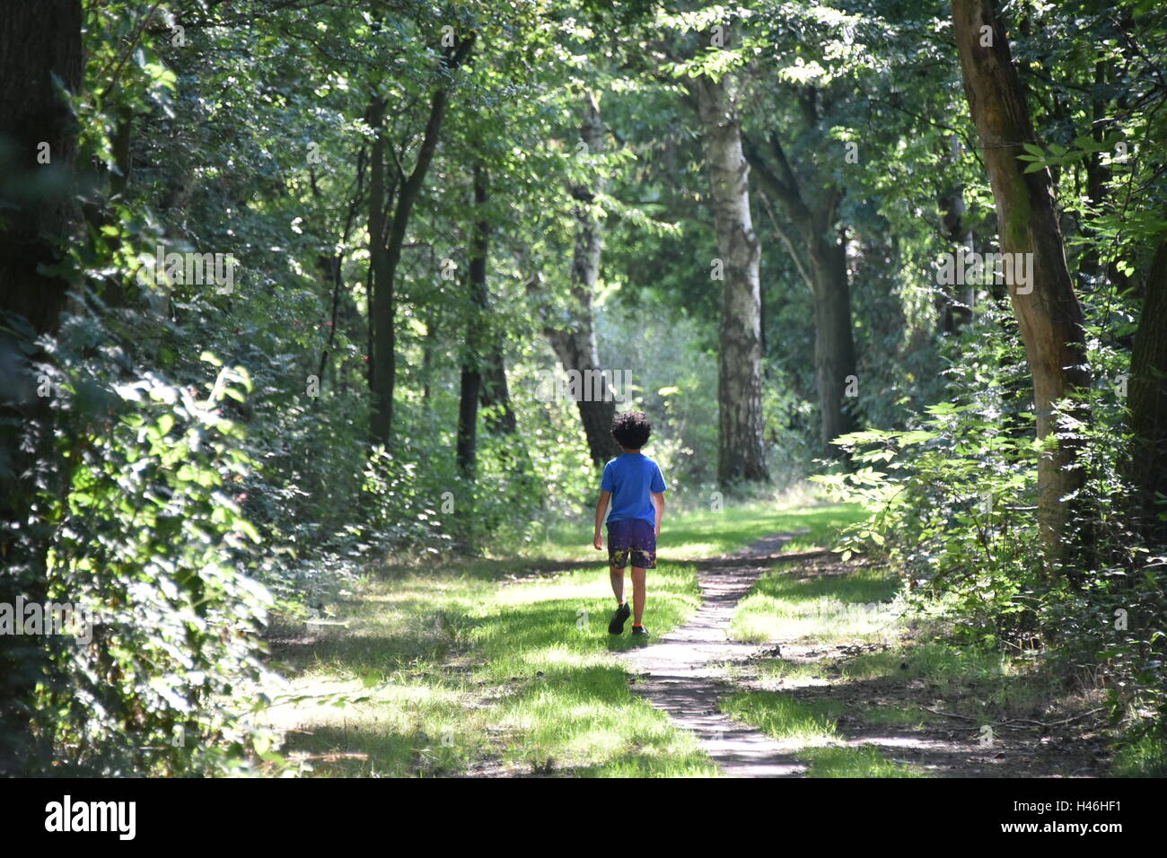 Ein kleiner Junge geht durch den Wald allein Stockfoto