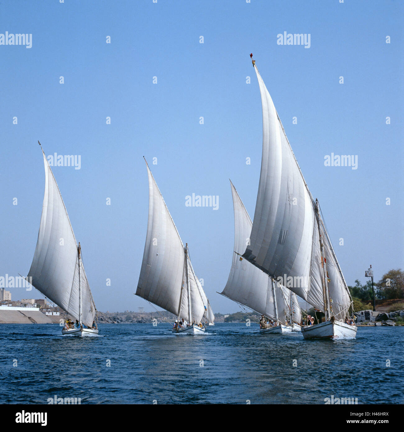 Ägypten, Assuan, Nil, Feluken, Tourist, kein Model-Release, Stadt, Fluss, Wasser, Himmel, blau, Stiefel, Segelboote, Segel, Tourismus, Attraktion, Person, Stockfoto