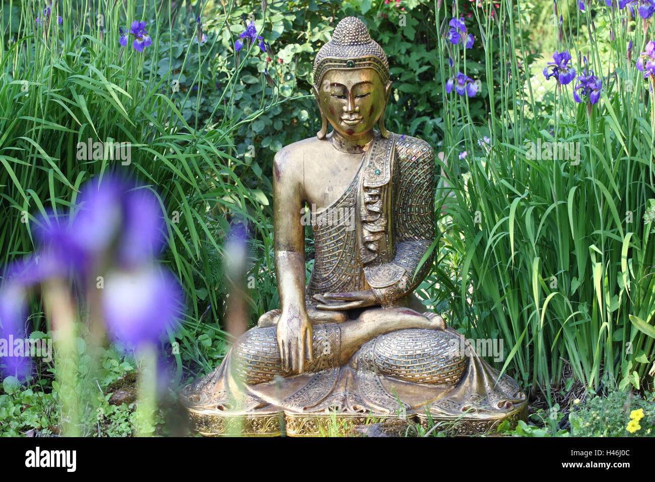 Buddha Figur, Garten, Schwertlilien, Stockfoto
