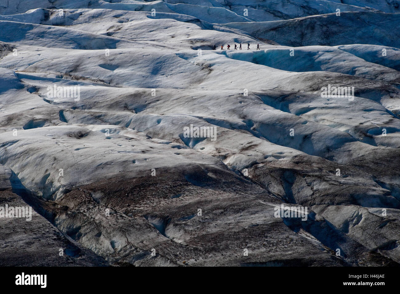 Island, Skaftafell-Nationalpark, Landschaft, Blick, Gletschereis, Reisender, Europa, Island, Skaftafell, Nationalpark, Natur, Naturschutzgebiet, Breite, Abstand, Berge, Eisberge, Gletscherzunge, Läufer, Eis, grau, schmutzig, schmutzig, Umwelt stellen bekommt Stockfoto