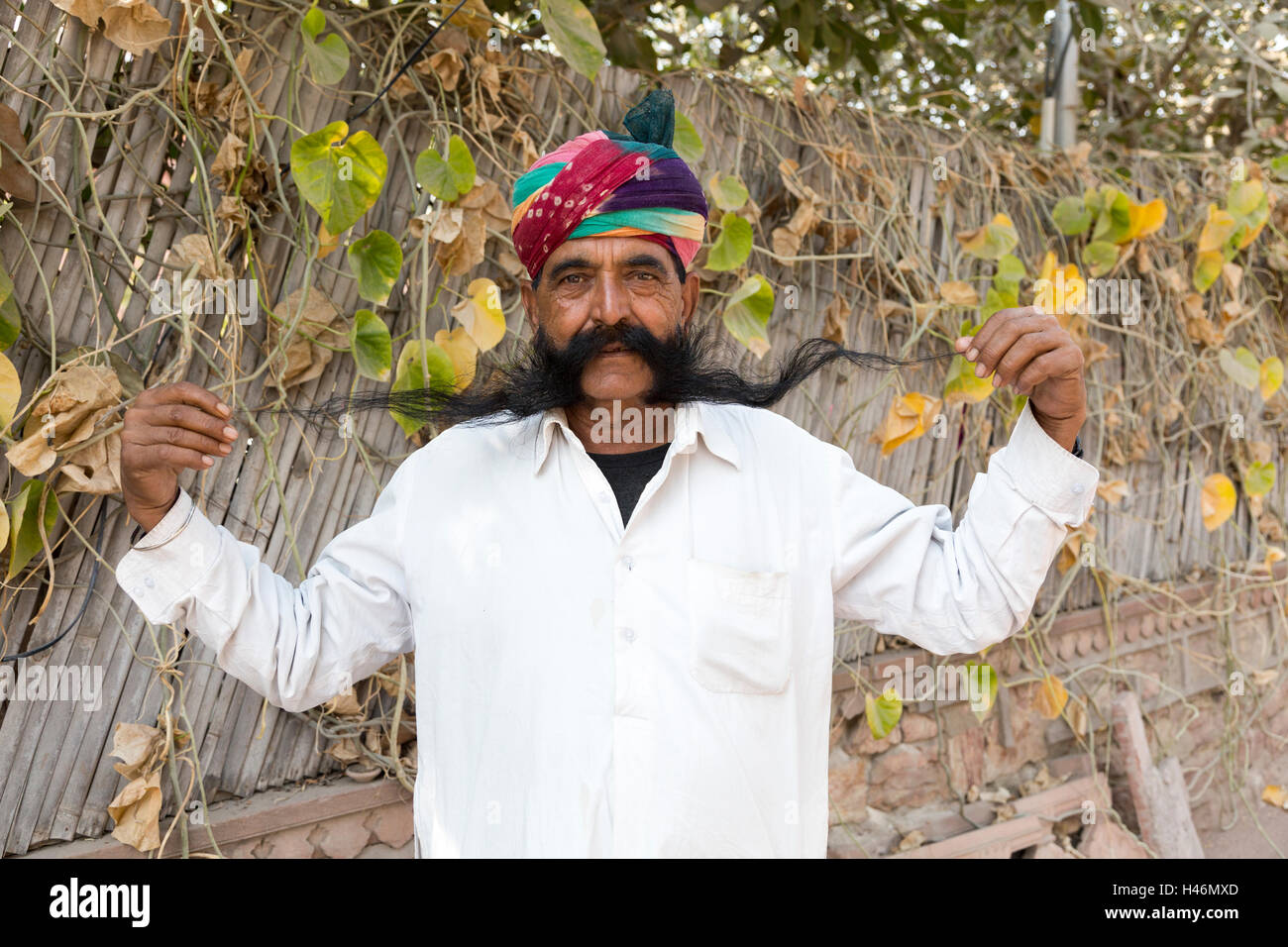 Porträt, Bikaner, Rajasthan, Indien Stockfoto