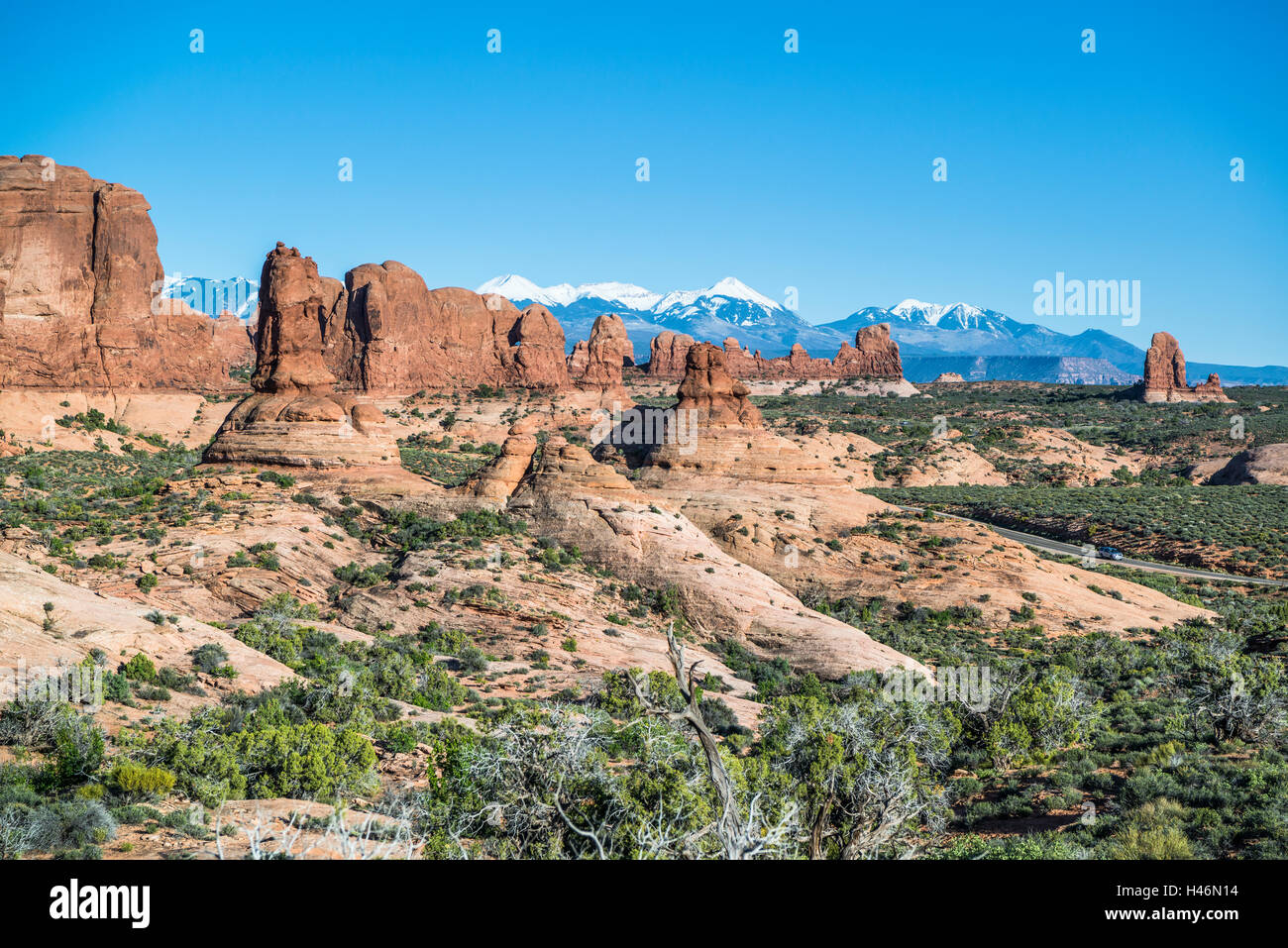 Garten Eden, Arches-Nationalpark, Utah, USA Stockfoto