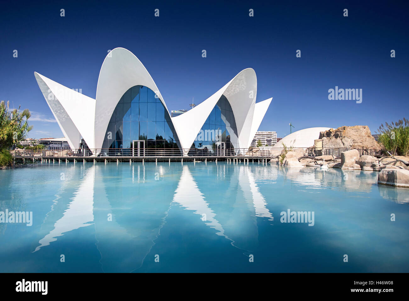 L'Oceanogràfic, Europas größte Ozeanarium in Valencia, Spanien Stockfoto