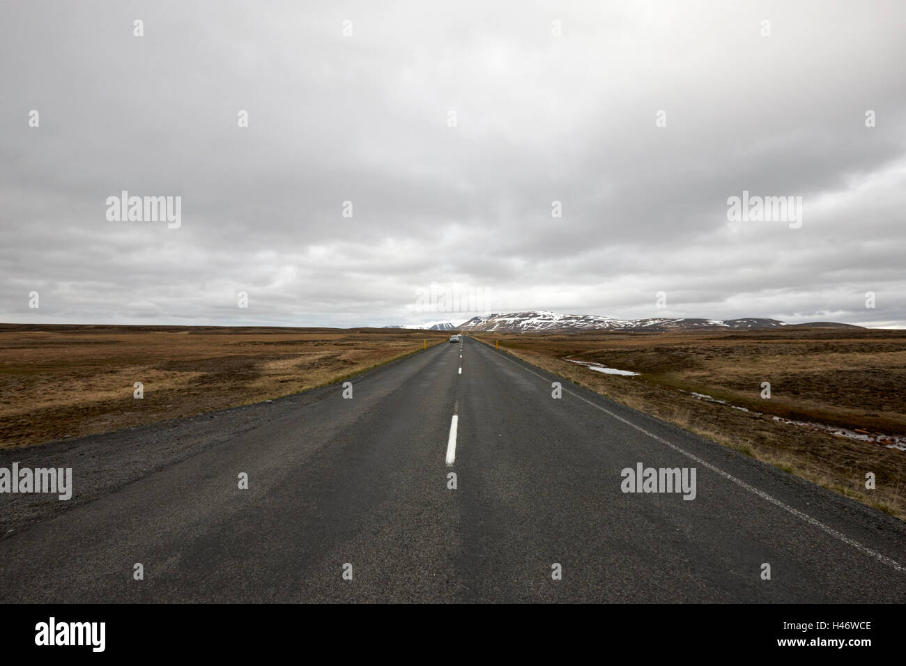 Thingvallavegur Route 36 Straße durch Thingvellir golden Circle Island Stockfoto