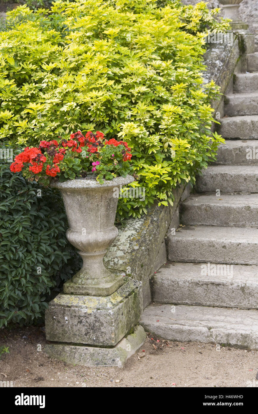 Frankreich, Garten, Stein, Treppen, Sträucher, Blumen Stockfotografie -  Alamy