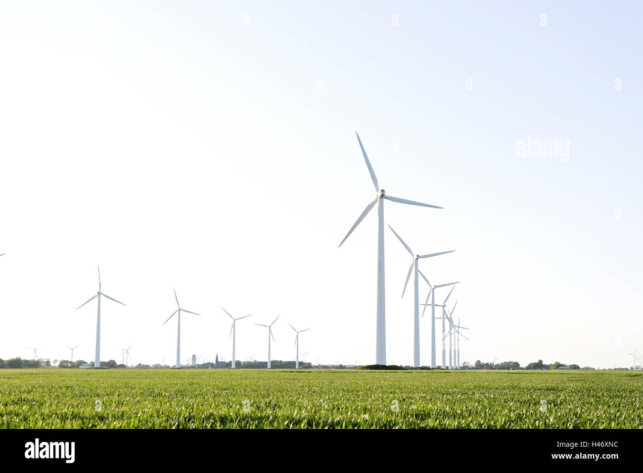 Wind-Turbinen, Windkraftanlagen, erneuerbare Energie, Windpark, Gemeinde Kronprinzenkoog, Kreis Dithmarschen, Schleswig-Holstein, Deutschland, Europa, Stockfoto