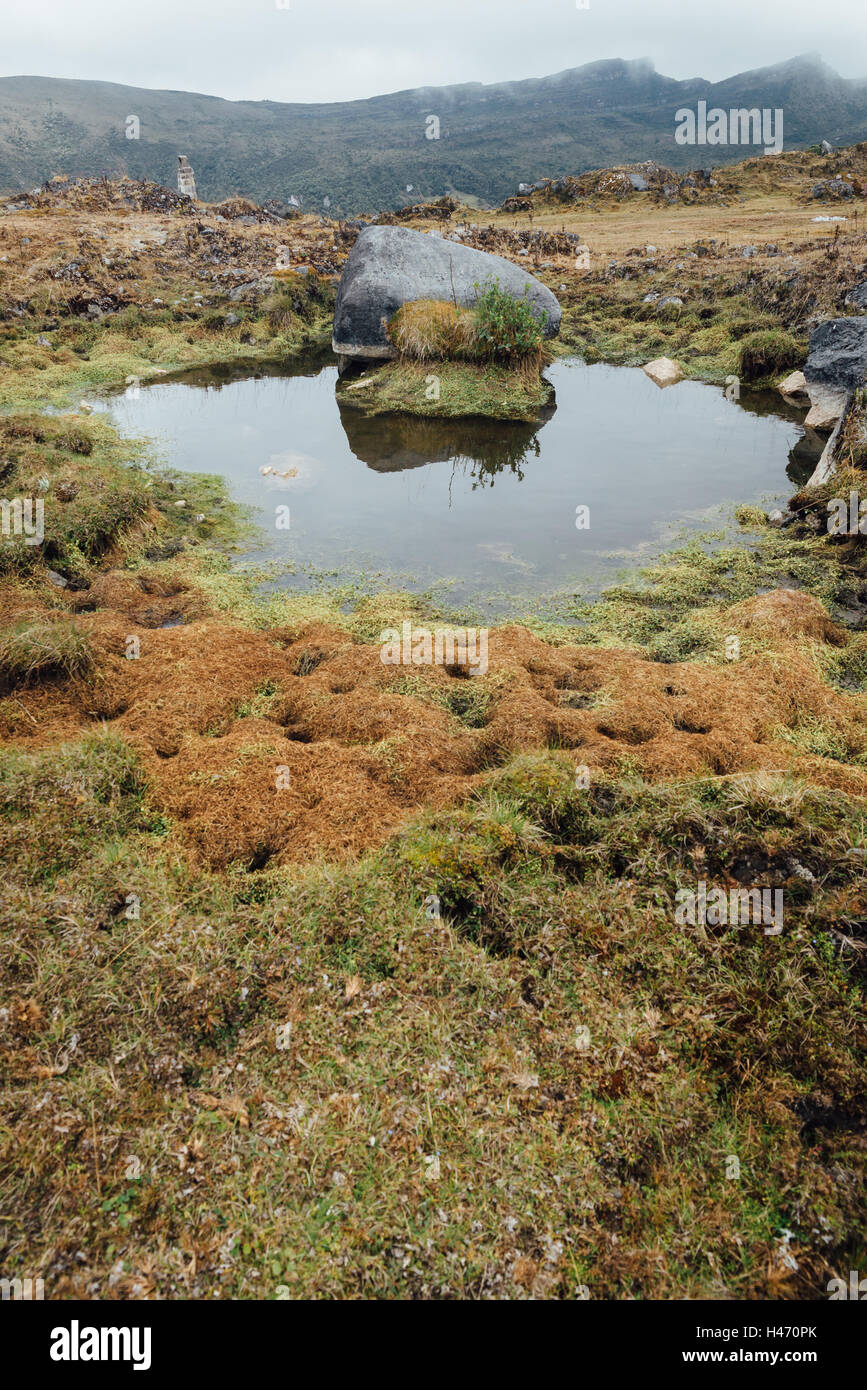 Chingaza Paramo Hochland Kolumbien Stockfoto