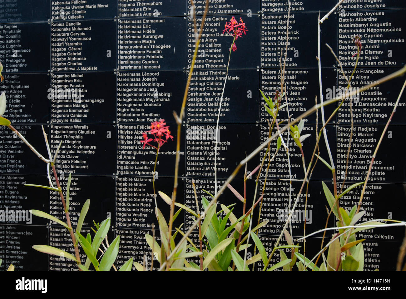 Ruanda Kigali Völkermord Mahnmal im Gisozil gelegen, während des Völkermordes im April 1994 fast eine Million Tutsi, Hutu Mord getötet wurden, schwarzer Stein Platten mit weißen Namen der Opfer Stockfoto