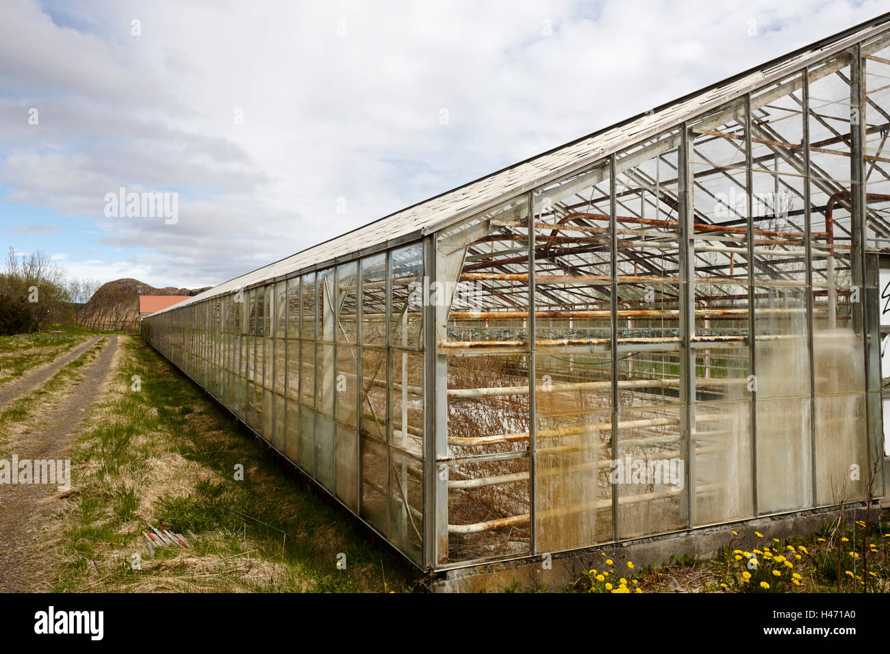 alten stillgelegten geothermische Gewächshaus auf einer Farm in Island Stockfoto