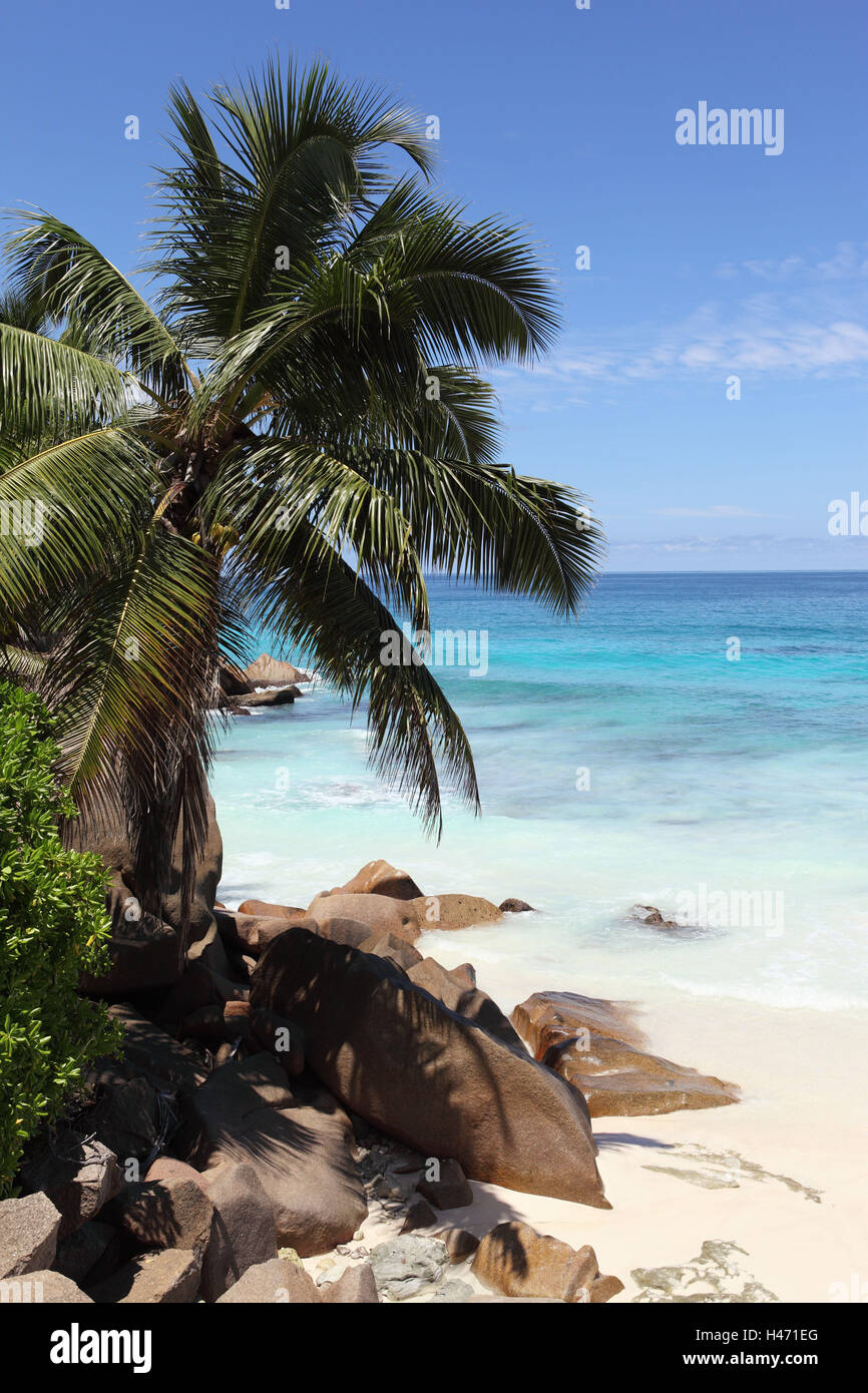Die Seychellen, La Digue, Strand, Felsen, Palmen, Anse Patates, Stockfoto