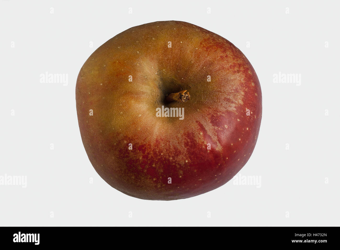 Apple, Ausschneiden, kulturelle Apfel, Apfel sortieren, sortieren, Boskop, frisch, Frucht, mittlerer Nahaufnahme Stockfoto