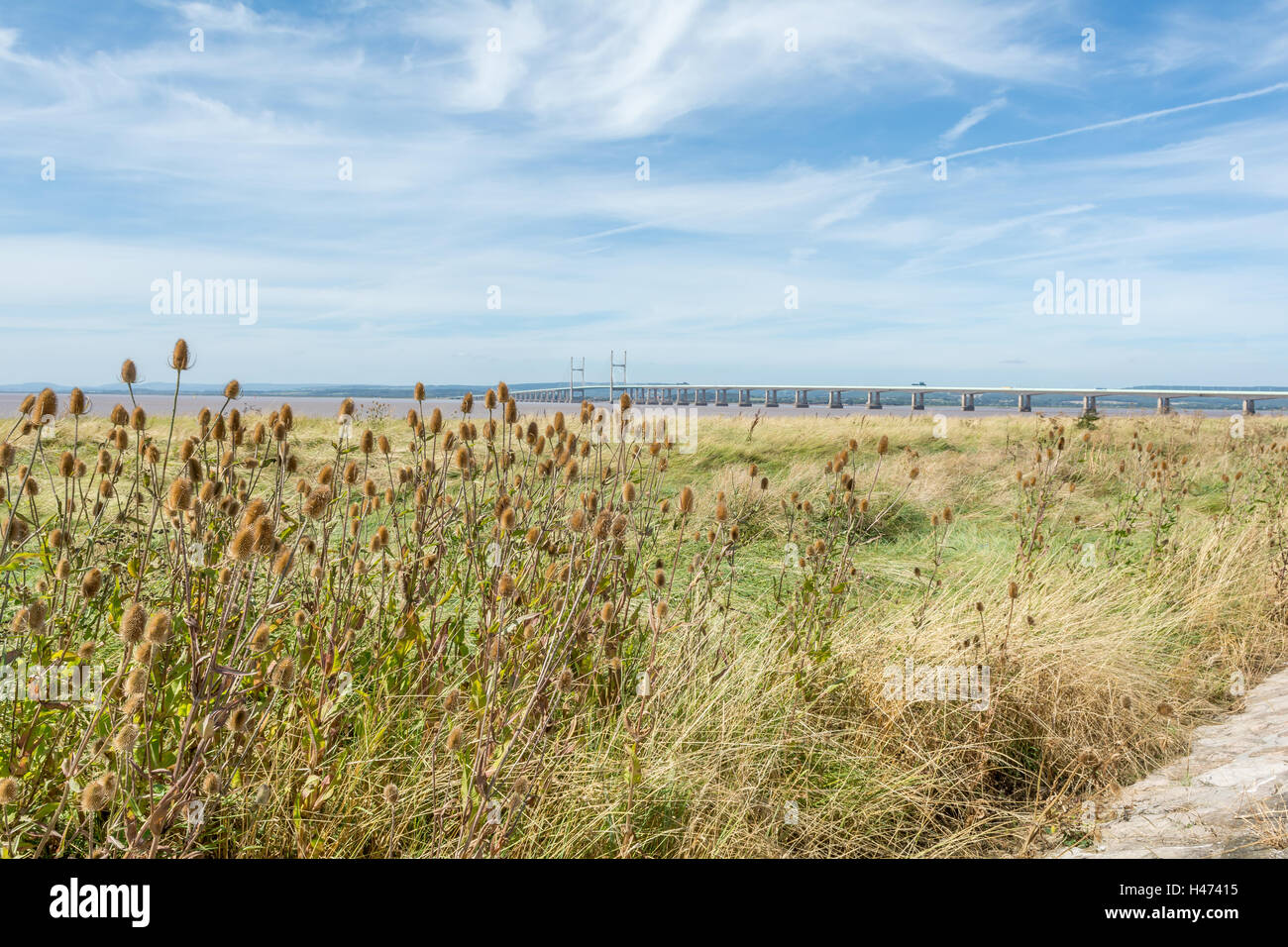 Severn Strand Spätsommer Stockfoto